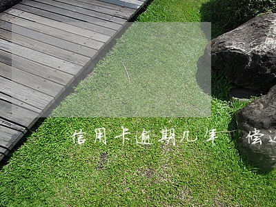 信用卡逾期几年 偿还本金 信用卡逾期几年 偿还本金